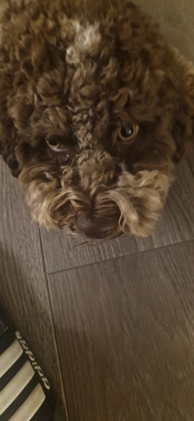 Mia